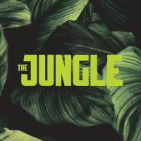 Agência The Jungle logo - Similar company to Motion Studio