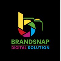 BrandSnap Digital Solution logo - Similar company to Adsynergy Solutions
