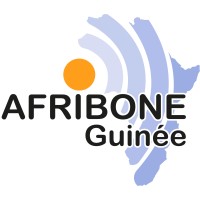 Afribone Guinée logo - Similar company to Vds Technology