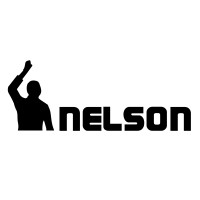 Nelson Innovations Pvt Ltd logo - Similar company to Karo Sambhav Foundation