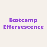 Bootcamp Effervescence logo - Similar company to Ealth