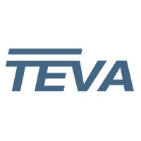 Toronto Electric Vehicle Association logo - Similar company to Electric Digital - Construction Marketing Toronto