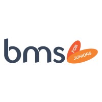 BMS for Juniors logo - Similar company to Technomen