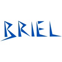 BRIEL S.R.L. logo - Similar company to S.I.E. Engineering S.R.L.