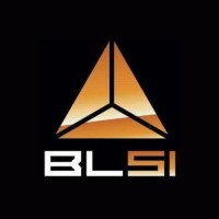 BLSI logo - Similar company to Mci Services