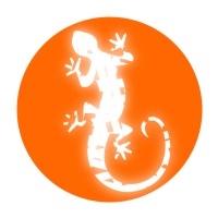 Bazilisk Boardshop Online (E-Commerce Project)
