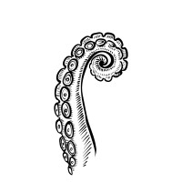 pulpo+ logo - Similar company to Epicasus