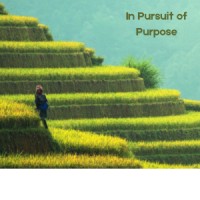 In Pursuit Of Purpose