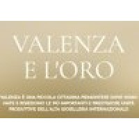 Arte Orafa DIVALENZA logo - Similar company to Federpreziosi Confcommercio
