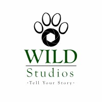 WILD Studios logo - Similar company to Oak By Design