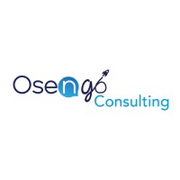Osengo Consulting logo - Similar company to Nepsod