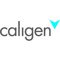 Vita Breda (Caligen Europe) logo - Similar company to Plasticompétences