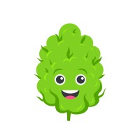 NugVue logo - Similar company to After I Got High