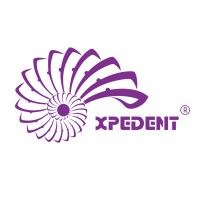 Xpedent logo - Similar company to Zilfor Srl