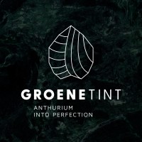 Groene Tint BV logo - Similar company to Colors Of Sentinel