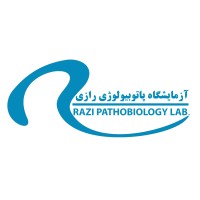 razipath logo - Similar company to Metaed Start-Up