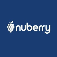 Nuberry Fashion logo - Similar company to V4Technologies