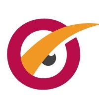 Sapient Insights Group logo - Similar company to Human Resource Association Of Central Ct (Hracc)