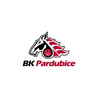 BK Pardubice a.s. logo - Similar company to Salon Vilpas Vikings