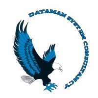 Dataman System Consultancy logo - Similar company to Wzrdry