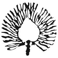 R'MATT logo - Similar company to Macan Africa