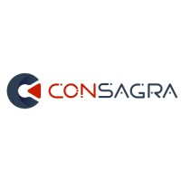CONSAGRA TI logo - Similar company to Startech