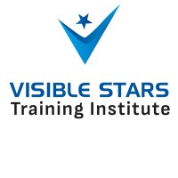 Visible Stars Training Institute logo - Similar company to Virtual Stars