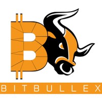 Bitbullex logo - Similar company to Bird Sumner Agency