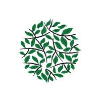 Asavi® logo - Similar company to Oon Studio