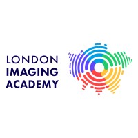 London Imaging Academy logo - Similar company to Developmental Dental Training Ltd