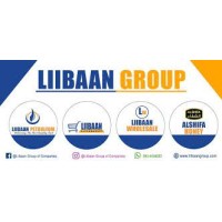 LIIBAAN GROUP OF COMPANIES logo - Similar company to Elite Audit & Accountancy Ltd (Eaa)