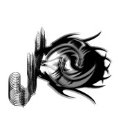 Desi Skill Hub logo - Similar company to Ystud-Io