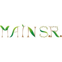 Diseño Gráfico MAINSR logo - Similar company to Toromedia Agencia De Publicidad Y Comunicación