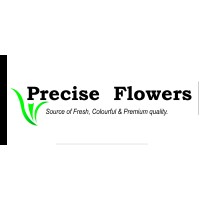Precise Flowers Limited logo - Similar company to Bigot Fleurs