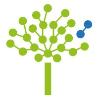 IRSEA logo - Similar company to Ferfi Energias