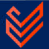 Virtuous Ventures Inc.