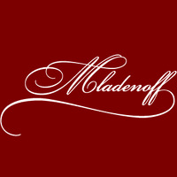 Mladenov GmbH logo - Similar company to Mp Ventures