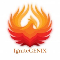 IgniteGENIX Media logo - Similar company to Gig Matcher