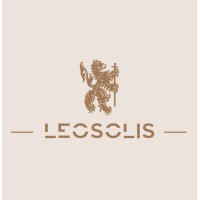 Leosolis logo - Similar company to The Analytics Experience