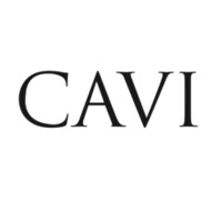 CAVI Clothing Boutique logo - Similar company to Store333
