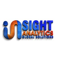 InSight Analytics Global Solutions logo - Similar company to Leader Security Electronics