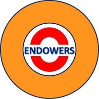 Endowers Solutions Pvt. Ltd. logo - Similar company to Bazayan & Co
