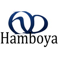 Hamboya Boyacılık Tekstil Sanayi ve Ticaret ve A.Ş logo - Similar company to Özyurt Tekstil