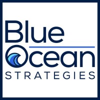 Blue Ocean Strategies logo - Similar company to Icylon Llc