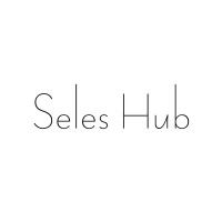 Seleshub logo - Similar company to Saleshub