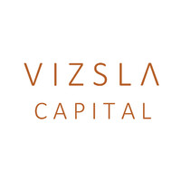 VIZSLA CAPITAL logo - Similar company to Thornbird