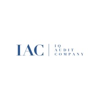 IQ Denetim logo - Similar company to İqvizyon