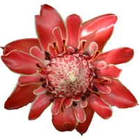 Naturheilpraxis Maria Strobel