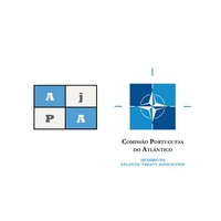 Portuguese Atlantic Youth Association logo - Similar company to Module Studio