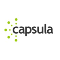 Capsula Inovação em TI LTDA logo - Similar company to Capsula Ti